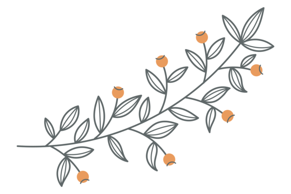 Botanical Branch with Leaves and Blossom