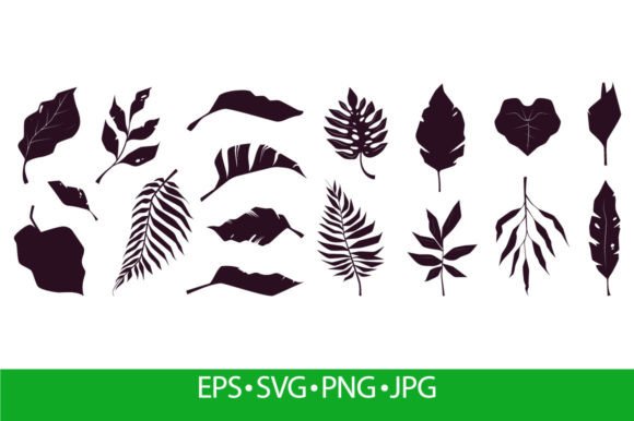 Exotic Tropical Leaves Silhouettes: A Monochrome Botanical Design Element