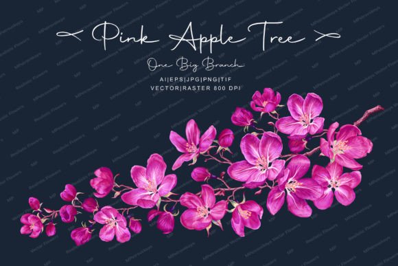 Pink Apple Tree Branch: A Timeless Botanical Illustration for Modern Creativity