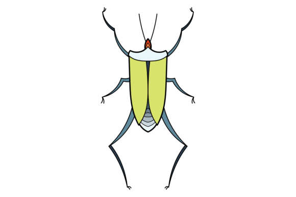Stinkbug Icon Green Beetle Wild Decora