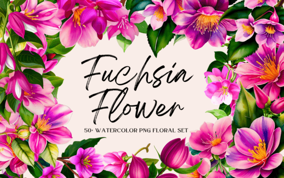 Watercolor Fuchsia Flower PNG Bundle: A Versatile Resource for Creative Projects